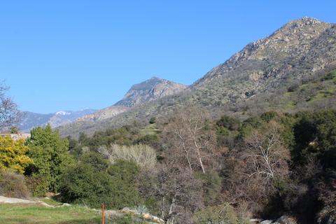 38575 Ca 190, Springville, CA 93265 photo 3