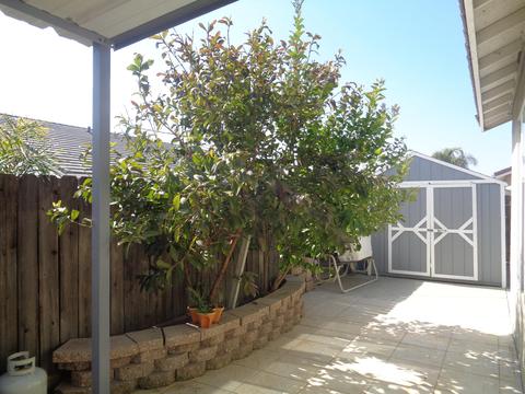 1623 Eagle St, Lemoore, CA 93245 photo 29