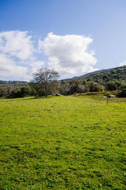 48964 Stagecoach Dr, Badger, CA 93603 photo 7