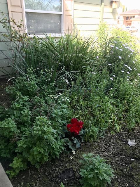 186 Atwood Ave, Exeter, CA 93221 photo 13