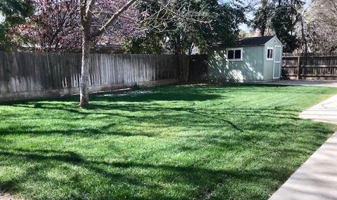 186 Atwood Ave, Exeter, CA 93221 photo 40