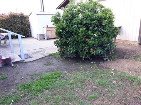 490 S G St, Exeter, CA 93221 photo 3