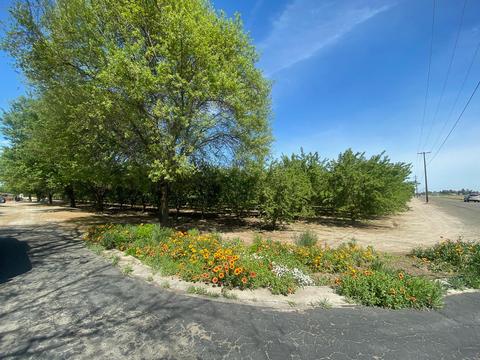 14468 16th Ave, Lemoore, CA 93245 photo 39