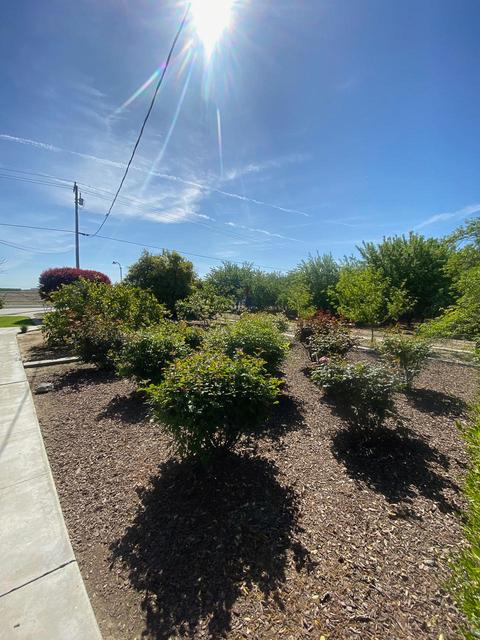 14468 16th Ave, Lemoore, CA 93245 photo 38