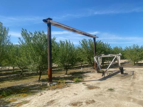 14468 16th Ave, Lemoore, CA 93245 photo 52