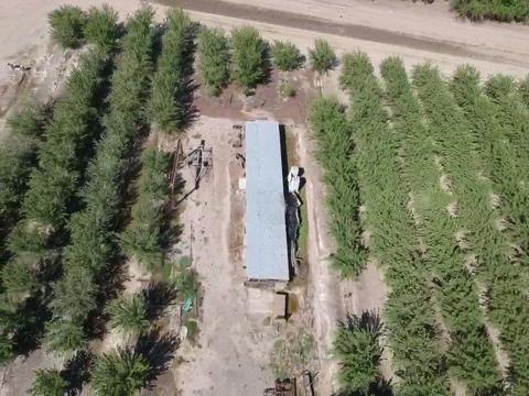 14468 16th Ave, Lemoore, CA 93245 photo 47