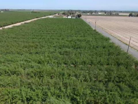 14468 16th Ave, Lemoore, CA 93245 photo 45