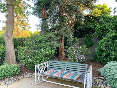 347 Old Line Ave, Exeter, CA 93221 photo 54