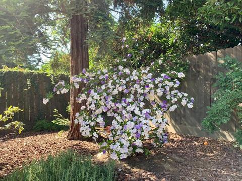 347 Old Line Ave, Exeter, CA 93221 photo 55
