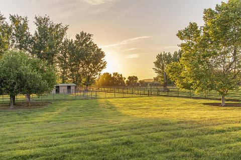 31503 Road 204, Exeter, CA 93221 photo 63