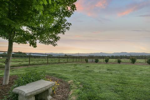 31503 Road 204, Exeter, CA 93221 photo 70