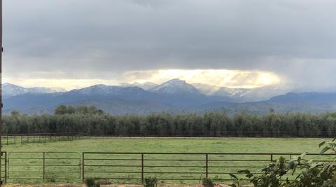 31503 Road 204, Exeter, CA 93221 photo 97