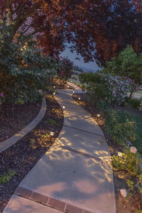 31503 Road 204, Exeter, CA 93221 photo 77