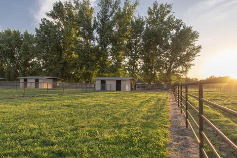 31503 Road 204, Exeter, CA 93221 photo 67