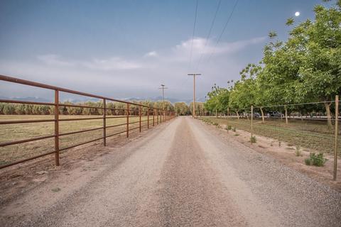 31503 Road 204, Exeter, CA 93221 photo 81