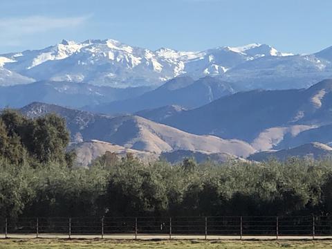 31503 Road 204, Exeter, CA 93221 photo 98