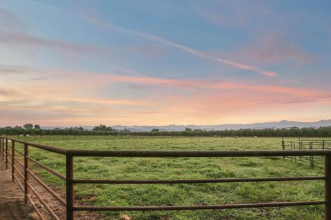 31503 Road 204, Exeter, CA 93221 photo 69