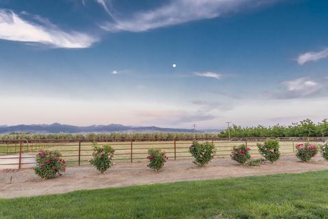 31503 Road 204, Exeter, CA 93221 photo 80
