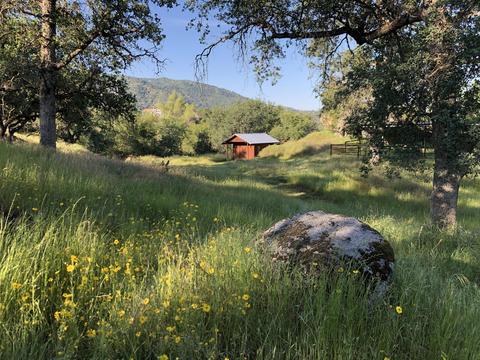 44060 Deer Canyon Dr, Three Rivers, CA 93271 photo 3