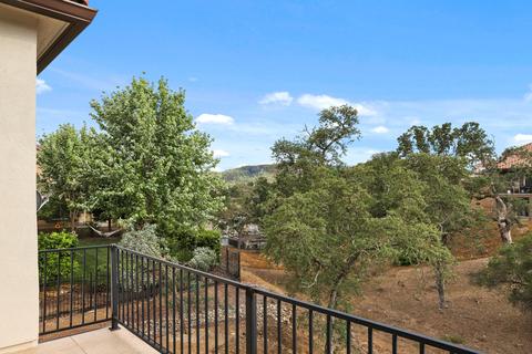 18 Selene Way, Copperopolis, CA 95228 photo 43