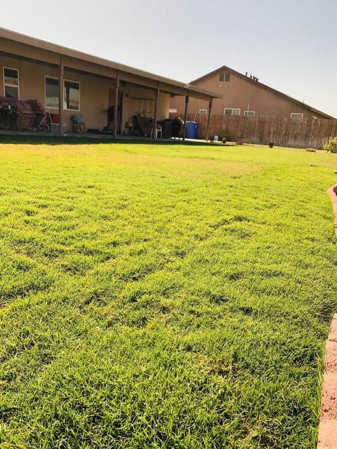 2124 Tule River Ave, Corcoran, CA 93212 photo 51