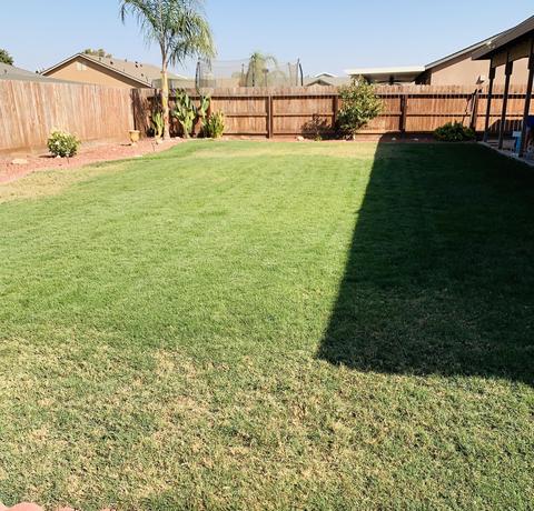 2124 Tule River Ave, Corcoran, CA 93212 photo 59