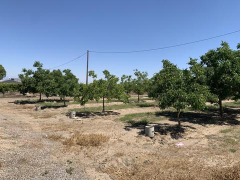 17643 Ave 288, Exeter, CA 93221 photo 3