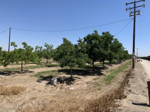 17643 Ave 288, Exeter, CA 93221 photo 1