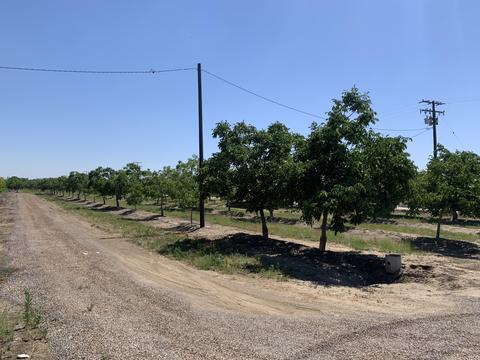 17643 Ave 288, Exeter, CA 93221 photo 4
