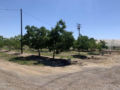 17643 Ave 288, Exeter, CA 93221 photo 2