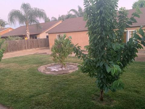 4322 E Bennett Cir, Visalia, CA 93292 photo 22