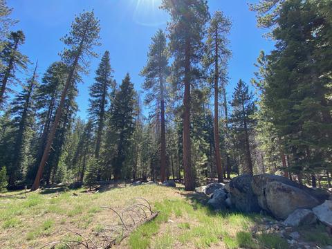 57622 Crest Dr, Springville, CA 93265 photo 1