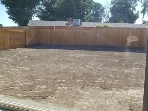 471 Daphne Ln, Lemoore, CA 93245 photo 11