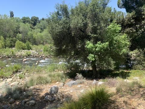 44268 Kaweah River Dr, Three Rivers, CA 93271 photo 39