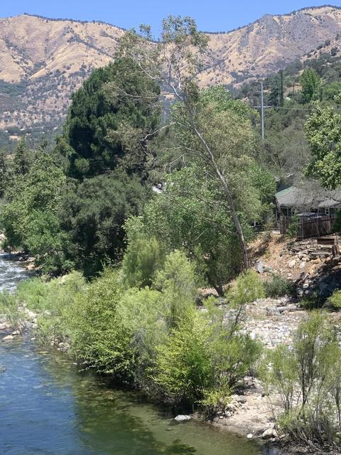 44268 Kaweah River Dr, Three Rivers, CA 93271 photo 45