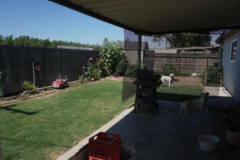 3207 E Laurel Ave, Visalia, CA 93292 photo 6