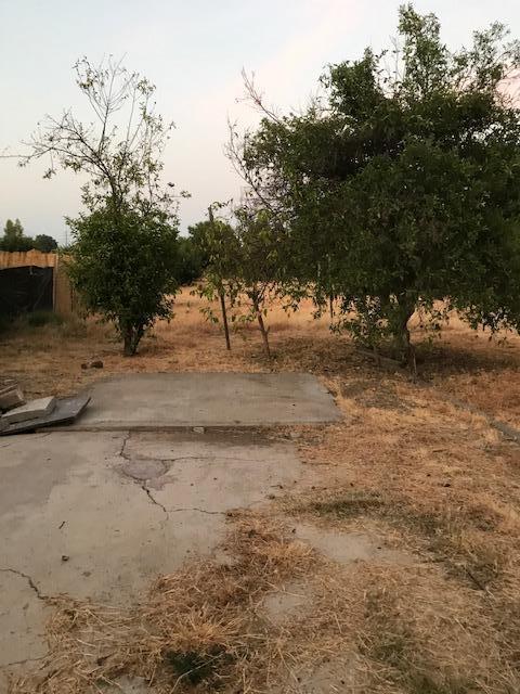 19552 Rd 232, Strathmore, CA 93267 photo 23
