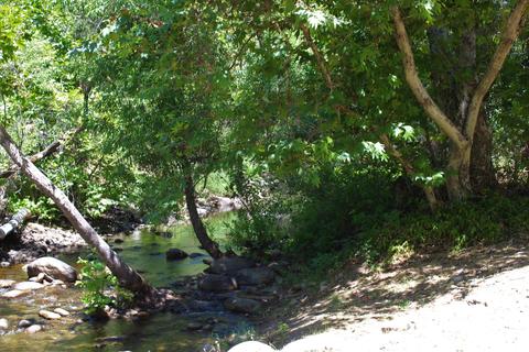 41148 Oak Ridge Dr, Three Rivers, CA 93271 photo 10