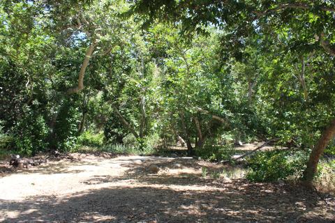 41148 Oak Ridge Dr, Three Rivers, CA 93271 photo 11