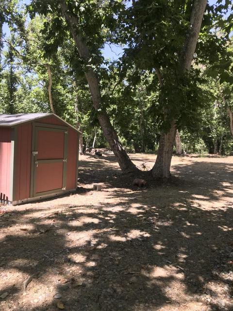 41148 Oak Ridge Dr, Three Rivers, CA 93271 photo 8