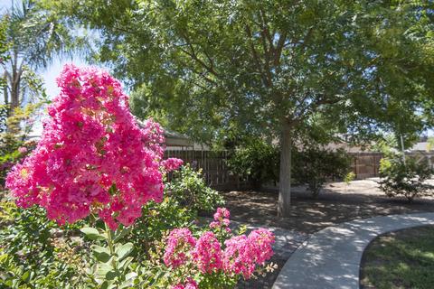 4048 E Harvard Ave, Visalia, CA 93292 photo 30