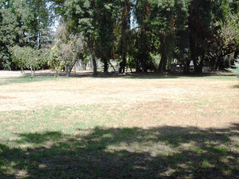 30667 Rd 196, Exeter, CA 93221 photo 3