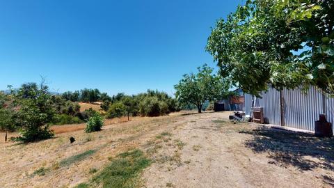 50645 Hogback Rd, Badger, CA 93603 photo 20