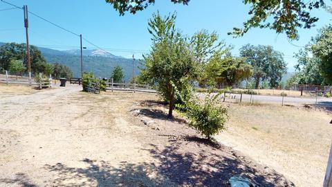 50645 Hogback Rd, Badger, CA 93603 photo 22