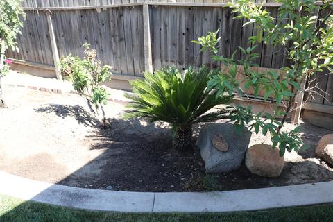 440 N E St, Tulare, CA 93274 photo 22