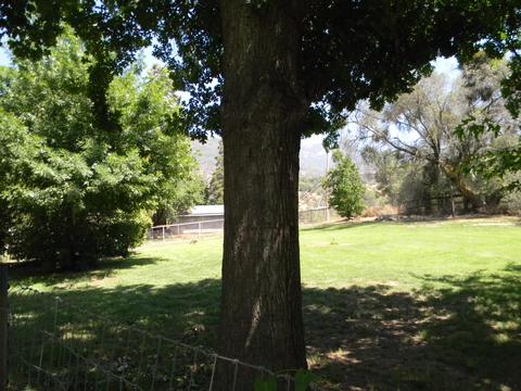 43429 Sierra Dr, Three Rivers, CA 93271 photo 12