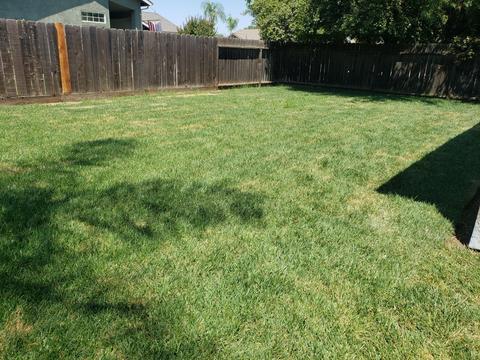 2007 Dandelion Ave, Tulare, CA 93274 photo 17