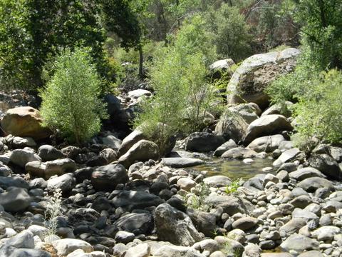 44994 S Fork Dr, Three Rivers, CA 93271 photo 42
