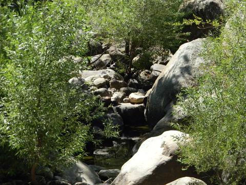 44994 S Fork Dr, Three Rivers, CA 93271 photo 44