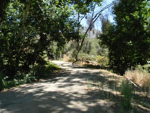 44994 S Fork Dr, Three Rivers, CA 93271 photo 48
